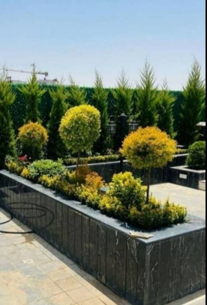 کاشت و فرمدهی در بام سبز