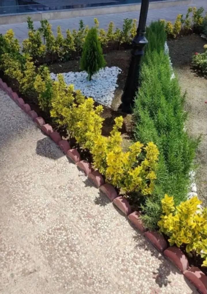 اجرای باغچه در ستارخان